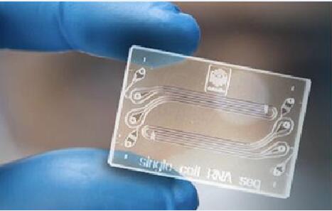 单细胞微流体服务实验室