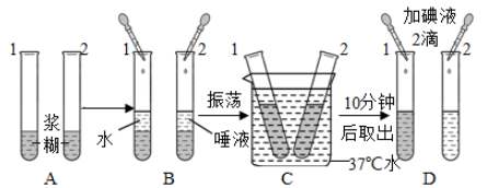 单细胞悬液制备方法